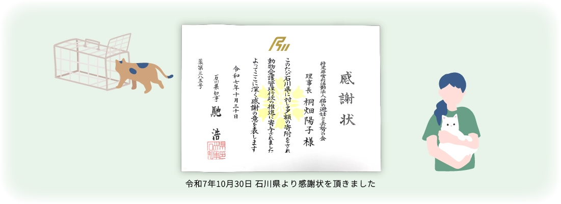 活動のあしあと