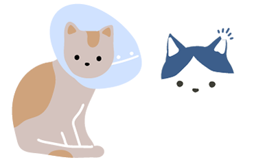 活動のあしあと