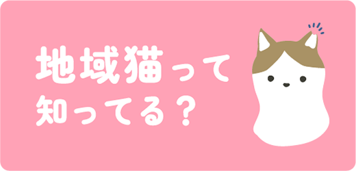 地域猫って知ってる？